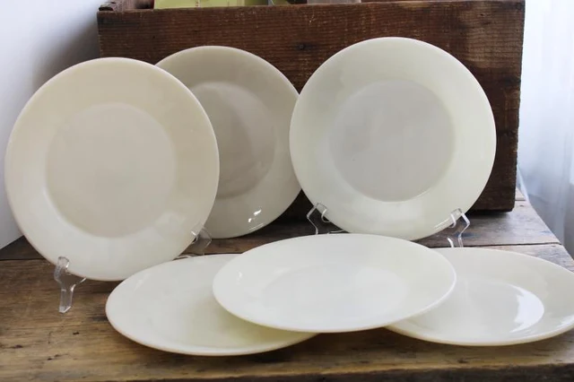 Ivory Restaurant Ware dinner plate